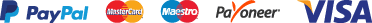 payment company logo