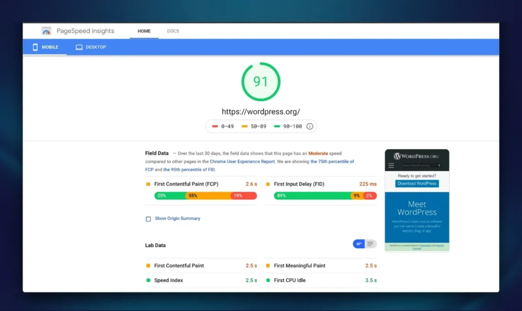 Google PageSpeed Insights