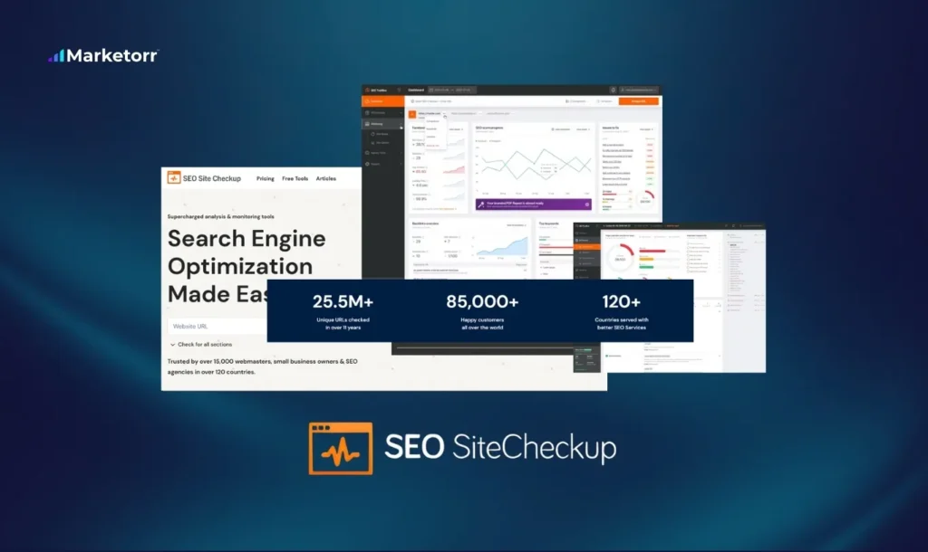 SEO Site Checkup