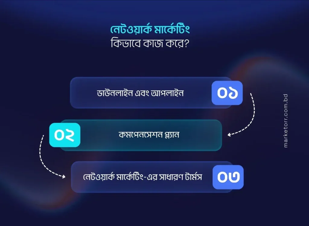 নেটওয়ার্ক মার্কেটিং কিভাবে কাজ করে?